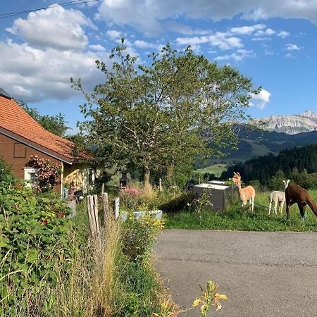 Ferienwohnung Tiererlebnishof Windegg Urnäsch Kültér fotó